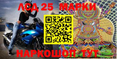 мдпв Бердск