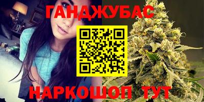 мдпв Бердск