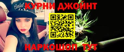 мдпв Бердск