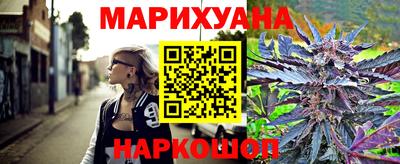 мдпв Бердск