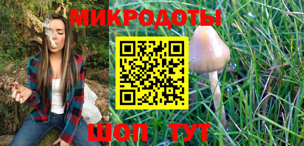 Галлюциногенные грибы Psilocybe  хочу наркоту  Благодарный  Галлюциногенные грибы прущие грибы  Вход с VPN 