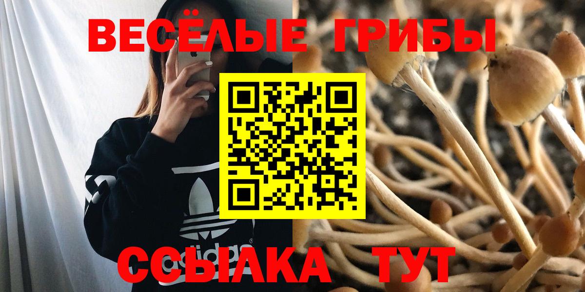 Псилоцибиновые грибы Psilocybine cubensis Благодарный
